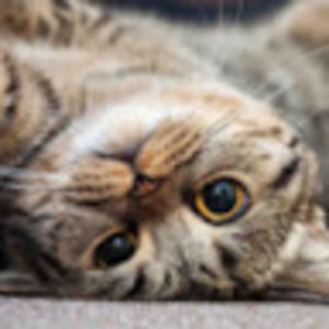 Meet your Posher, Becky